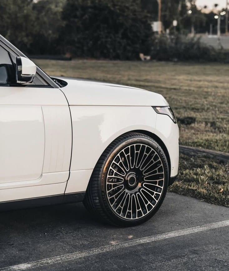 Range Rover R24, фото 2