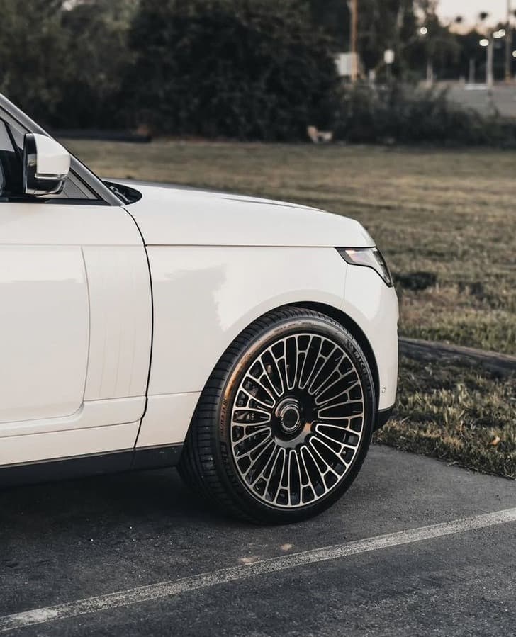 Range Rover R23, фото 5